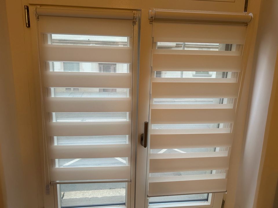 8x Plissee Rollo Fensterrollo 42cm weiß Verdunklungsrollo in Schönborn