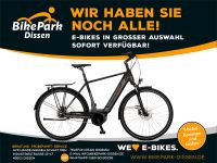 Kreidler E-Bike Elektro-Fahrrad Eco7 Bosch 8-Gang Nabe Rücktritt Niedersachsen - Dissen am Teutoburger Wald Vorschau