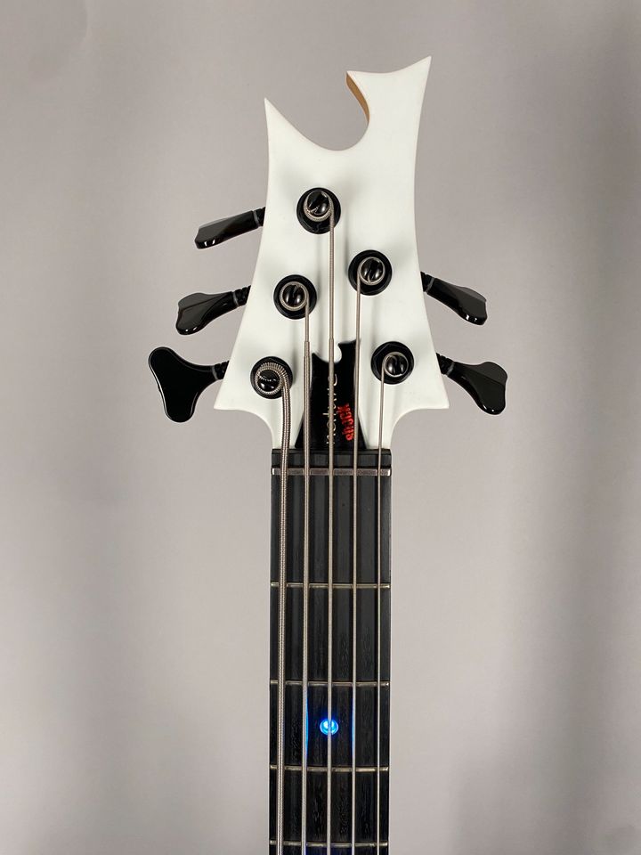 Nature Shock Custom 5 String "RD" BASS Illuminated Dots Case in Herne