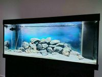 Aquarium Rückwand nach Wunsch Nordrhein-Westfalen - Oerlinghausen Vorschau