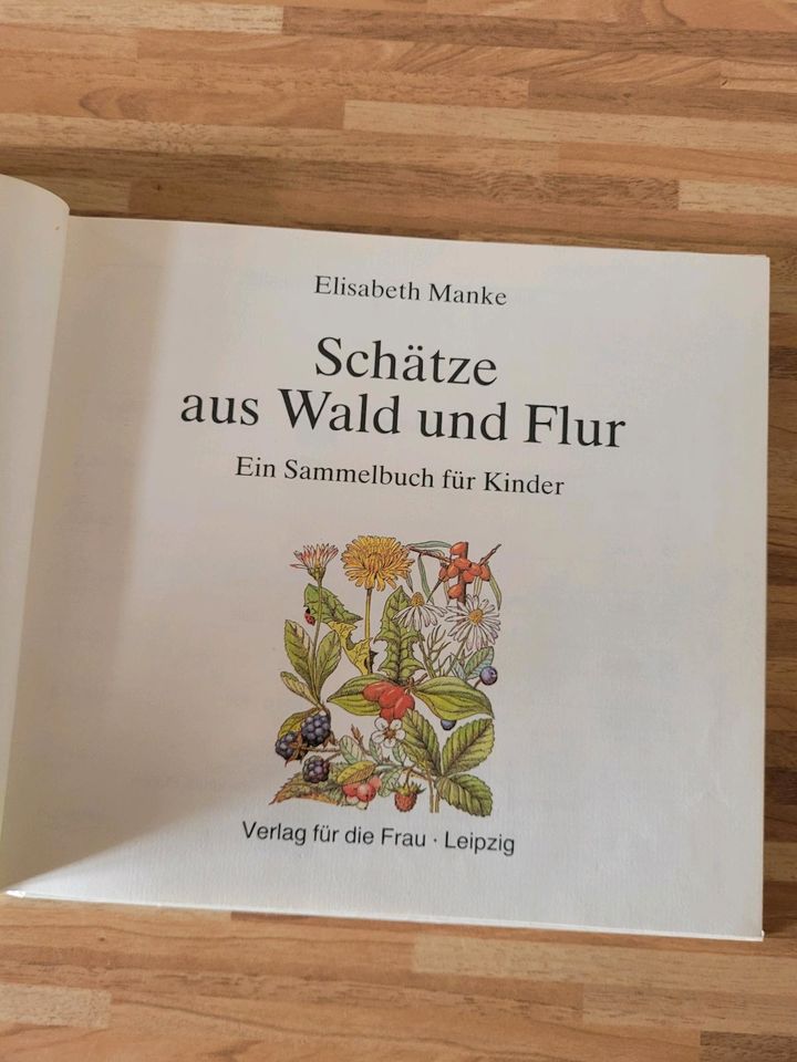 DDR Kinderbuch Schätze aus Wald und Flur Ein Sammelbuch für Kind in Wismar