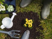 Gartenpflege gegen Taschengeld Nordrhein-Westfalen - Ahaus Vorschau