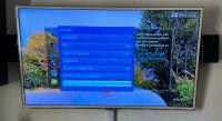 Samsung Smart TV 3D 46UE6710 Fernseher Amazon FireTv Stick Leipzig - Schönefeld-Abtnaundorf Vorschau