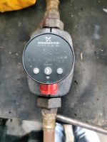 Grundfos Alpha 2 25-60 180 Niedersachsen - Auetal Vorschau