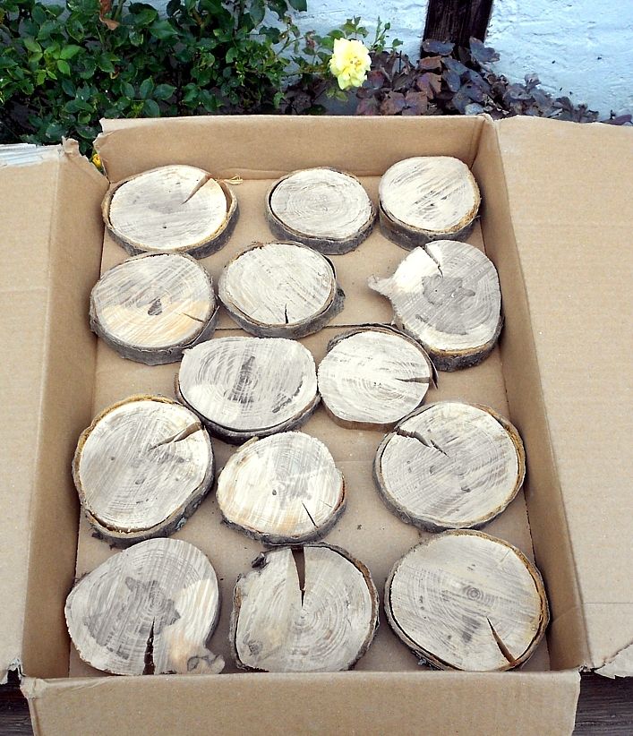 Baumscheiben von einer Eberesche, naturbelassen 13 Stück in Irmenach