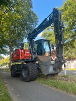 Gartenbau , Baggerarbeiten , Zaunbau , Terrassenbau , Rollrasen Niedersachsen - Ganderkesee Vorschau