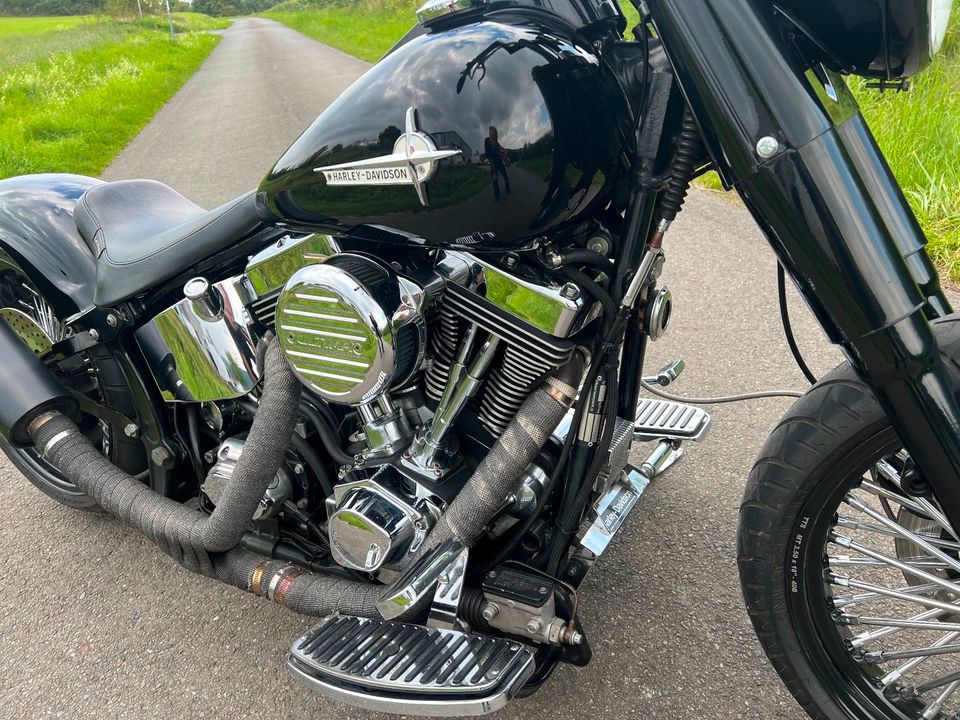 Harley-Davidson FXST Custom Umbau in Höxter