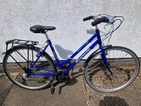 Damenrad Gravelbike 28" RH 51 Niedersachsen - Hildesheim Vorschau