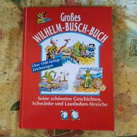 Großes Wilhelm Busch Buch Bayern - Ruderting Vorschau