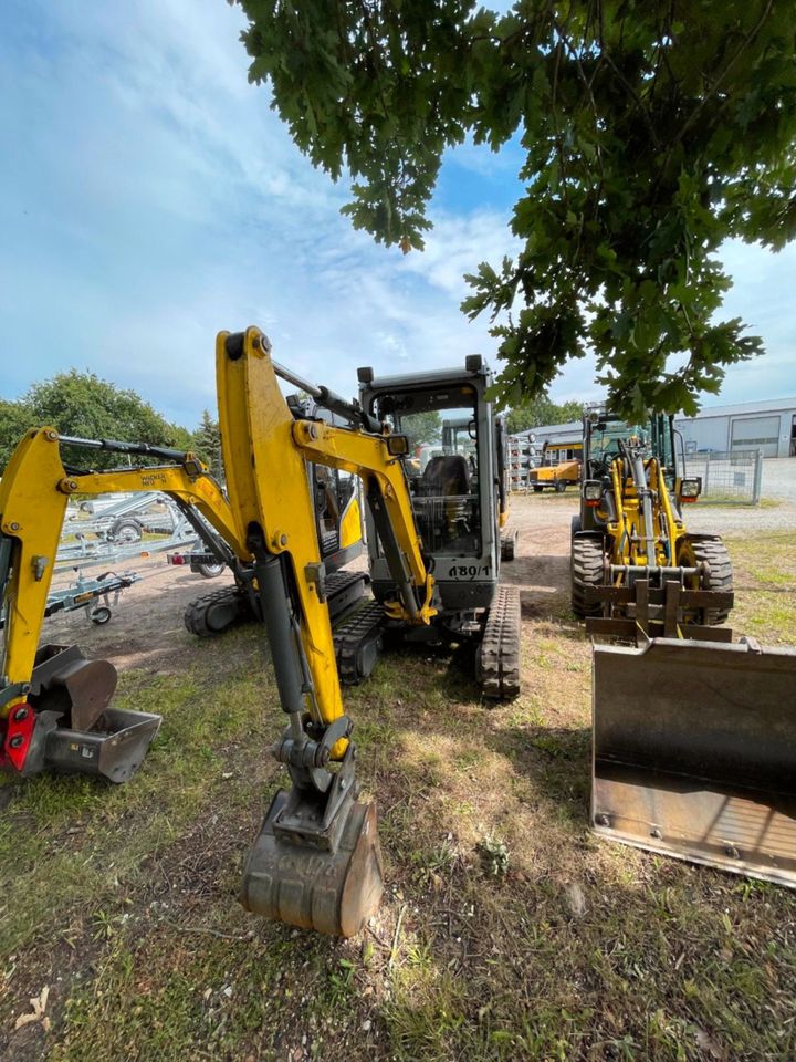 Minibagger 1,8 t zu vermieten in Owschlag