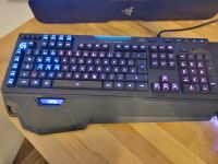 Gaming set up / Maus / Tastatur / Mauspad Baden-Württemberg - Forst Vorschau