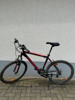 Hammer geiles Fahrrad Nordrhein-Westfalen - Bottrop Vorschau