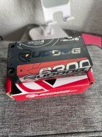 Ruddog 6300mah Shorty Bayern - Allersberg Vorschau