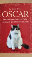 Oscar die außergewöhnliche Gabe eines ganz gewöhnlichen Katers Thüringen - Dorndorf Vorschau