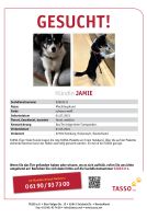 Bitten um Mithilfe ! Hund geklaut in Hamburg! Finderlohn! Altona - Hamburg Altona-Nord Vorschau