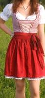 Dirndl rot-weis kariert Bayern - Neumarkt i.d.OPf. Vorschau