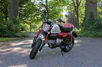 HONDA Z125 MONKEY - 125ccm - Neufahrzeug - Finanzierung möglich Niedersachsen - Bad Laer Vorschau