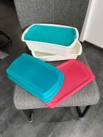 Aufbewahrungsschalen Tupperware Niedersachsen - Vienenburg Vorschau