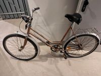 Fahrrad Diamant Diamantrad Damenrad 26 Zoll Dresden - Äußere Neustadt Vorschau