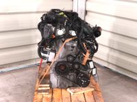 Motor 1.0 SFJB SFJD FORD FIESTA FOCUS C-MAX B-MAX 37TKM KOMPLETT Berlin - Wilmersdorf Vorschau