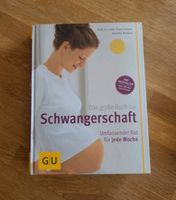 Das große Buch zur Schwangerschaft - Annette Nolde, Franz Kainer Niedersachsen - Wennigsen Vorschau