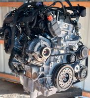 Motor Komplett OPEL B16DTH 55.000km 1Jahr Garantie Niedersachsen - Wolfsburg Vorschau