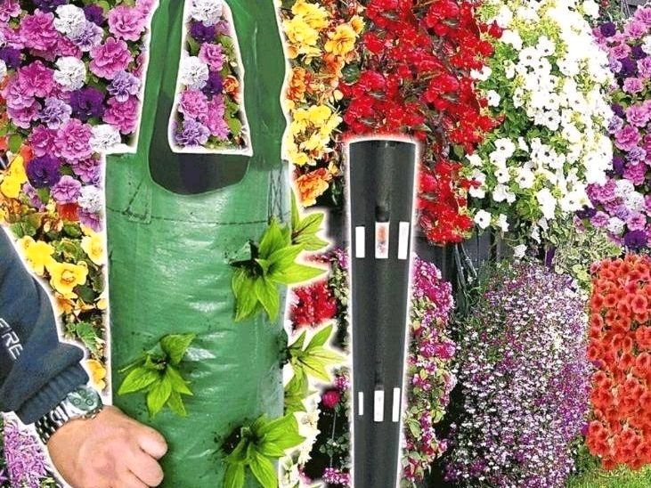 Blumen Ampel Vorrichtungen in Rheinfelden (Baden)