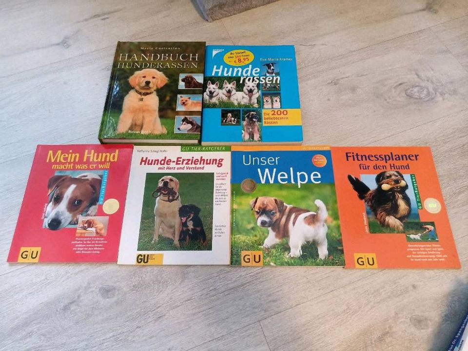 33 Verschiedene Hunde Bücher u.a. Martin Rütter in Ilsede