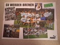 Poster SV Werder Bremen Pokalsieger 1991 Nordwestmecklenburg - Landkreis - Poel Vorschau