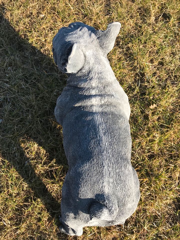 ‼️Französische Bulldogge 17kg 44cm Bulldoggen Steinguss Bully‼️ in Düsseldorf