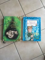 Arthur und die vergessenen Bücher & Magnus und das magische Buch Hessen - Riedstadt Vorschau
