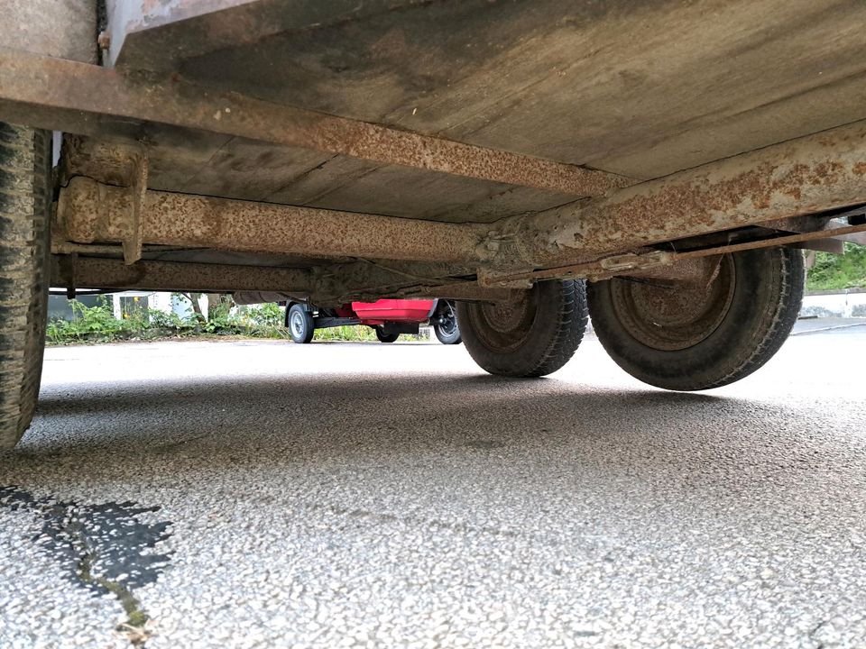 Pferdeanhänger Vieh Anhänger Rampe Plane Tandem 1500kg in Freudenberg