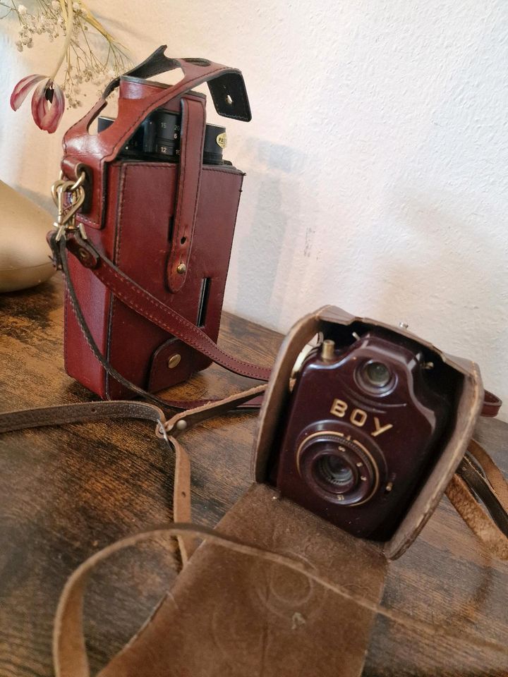 Alte Kamera Sammlung in Erlenbach am Main 