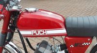 Puch M50 Racing Tank Kr. Passau - Passau Vorschau