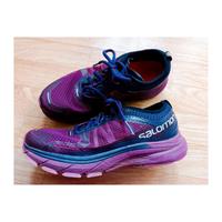 Salomon Sonic Ra Max Laufschuhe Sportschuhe Gr 40 2/3 lila Leipzig - Leipzig, Südvorstadt Vorschau