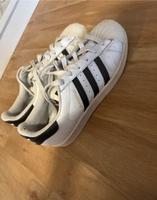 Adidas superstar Rheinland-Pfalz - Ludwigshafen Vorschau