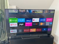 Sony Bravia KDL-65W859C Fernseher 65 Zoll Smart-TV Niedersachsen - Harpstedt Vorschau