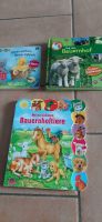 Bücher für Babys bzw. Kleinkinder Bayern - Untergriesbach Vorschau