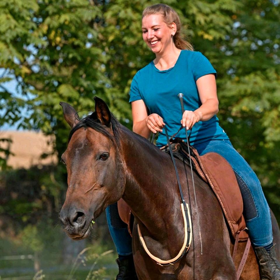 Natural Horsemanship Bodenarbeit Liberty in Gotha