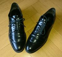 Gabor Schnürschuhe Halbschuhe Größe 6 Stuttgart - Sillenbuch Vorschau