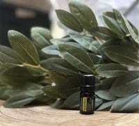 Doterra Lemon Myrtle Bayern - Pfaffing Vorschau