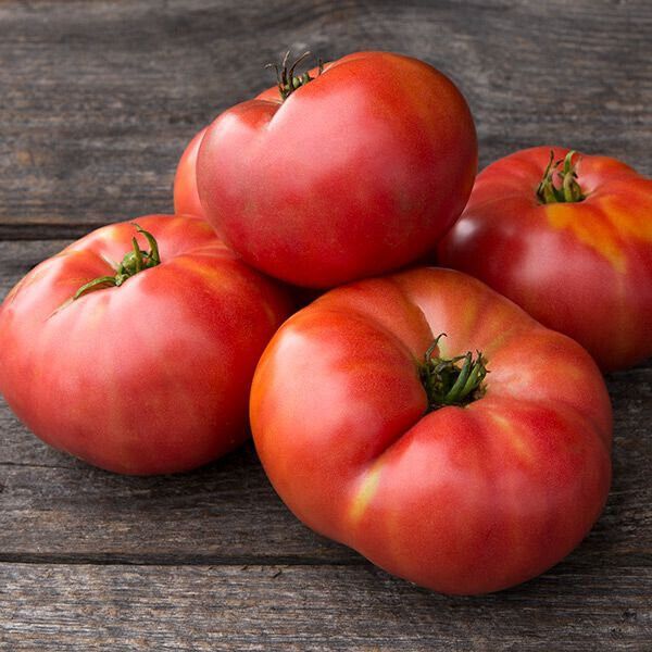 Tomaten Samen, Samenfest neue Sorten in Viersen