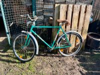 DDR Diamant 26 Zoll Fahrrad Oldtimer IFA Brandenburg - Schorfheide Vorschau