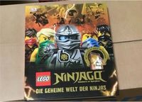 Lego Ninjago Die geheime Welt der Ninjas Buch mit Figur Rheinland-Pfalz - Kaiserslautern Vorschau