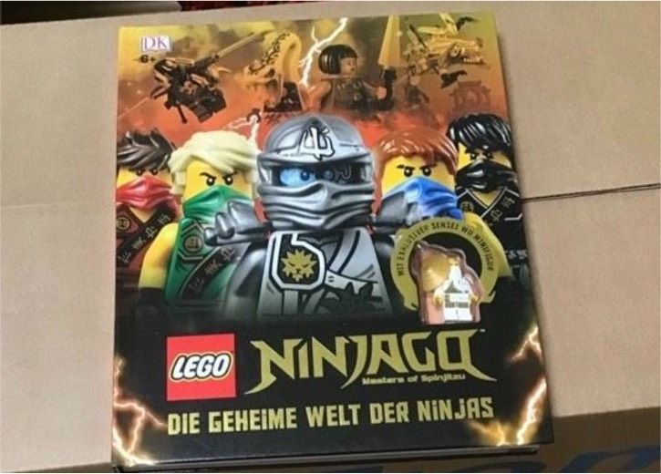 Lego Ninjago Die geheime Welt der Ninjas Buch mit Figur in Kaiserslautern