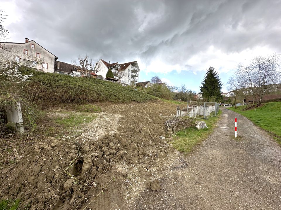 NEU ANGELEGT ! Große Parkfläche in Schopfheim-Wiechs in Schopfheim