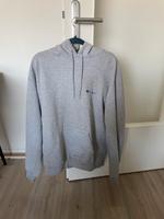 Pullover Hoodie Champion XL Dresden - Striesen-Ost Vorschau
