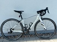 Rennrad Damen  Specialized aus Carbon  mit Ultegra Niedersachsen - Lehrte Vorschau