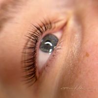 Wimpernlifting Lashlifting Rheinland-Pfalz - Höhr-Grenzhausen Vorschau