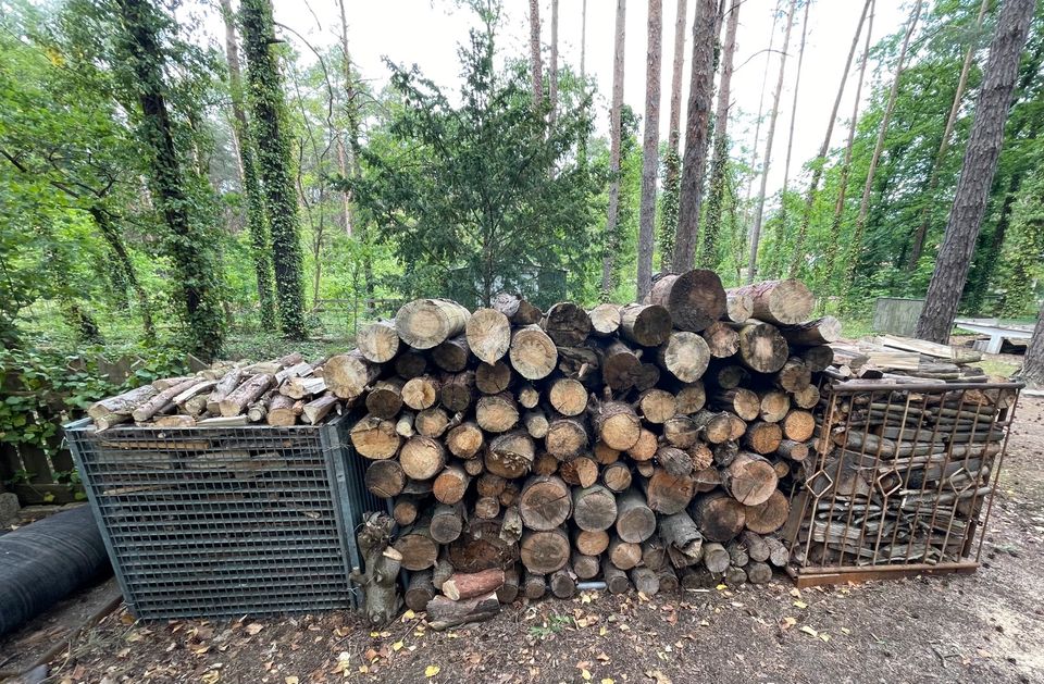 Brennholz Trocken in Großkoschen